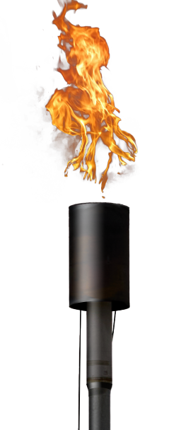 Biogas flare